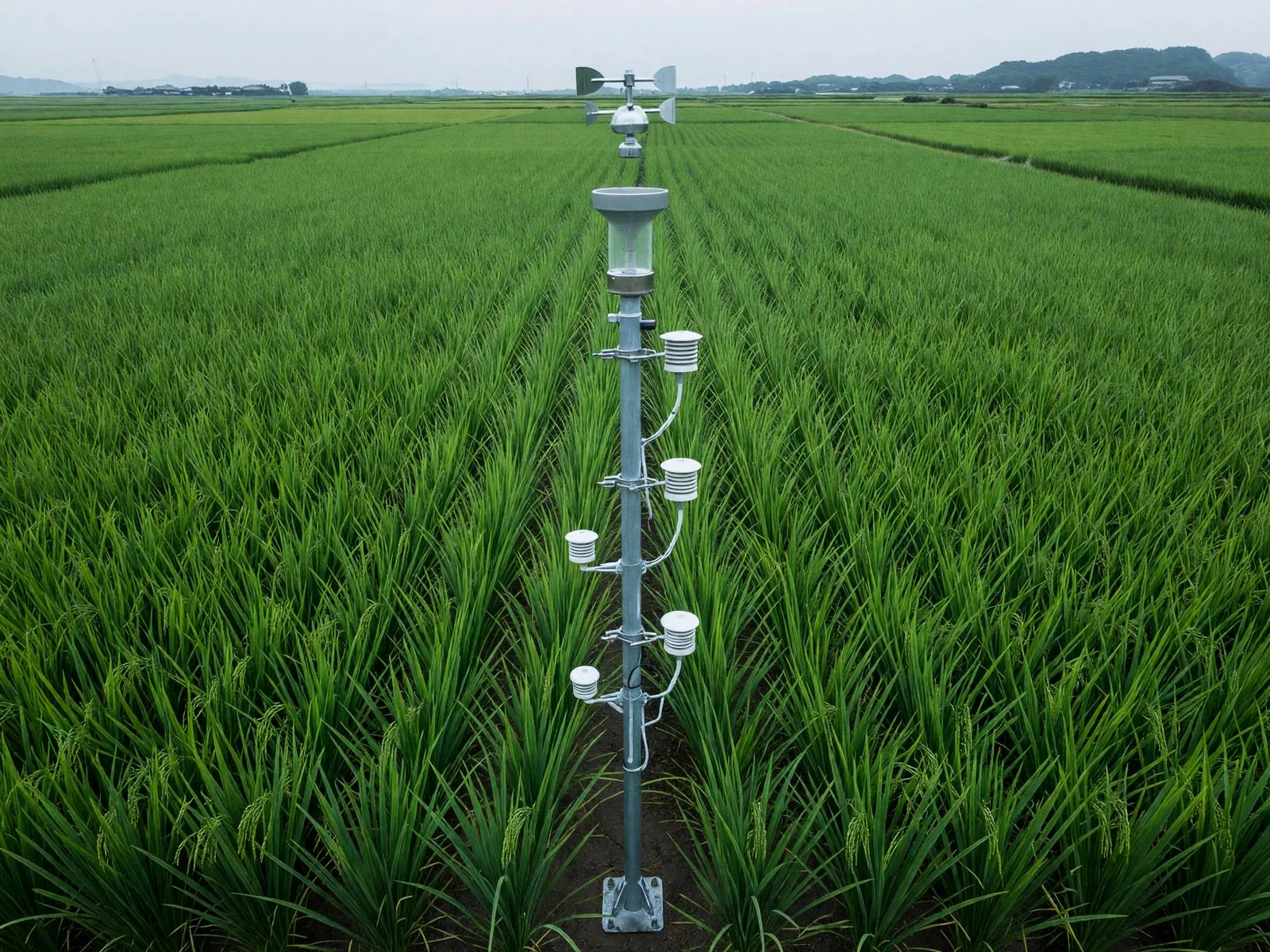 気象・環境モニタリング用の観測ステーション